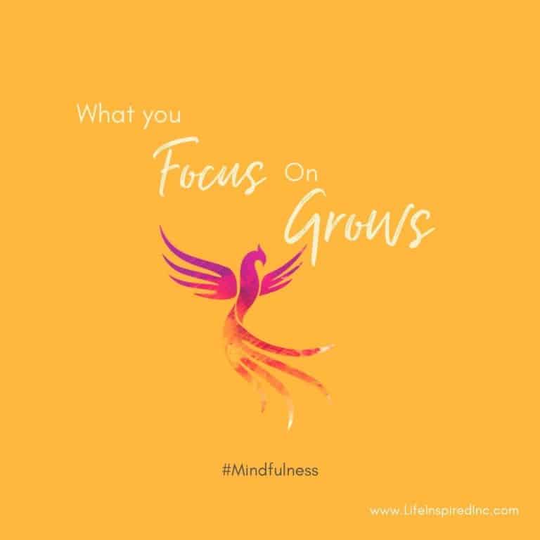 What you Focus On, Grows